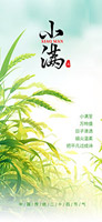 麦穗小满时节海报