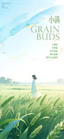 清新小满时节海报