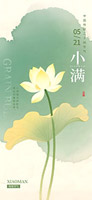 荷花小满手机海报