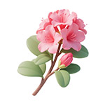 3D杜鹃花插画