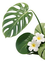 免扣绿植元素2