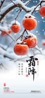 柿子霜降节气海报