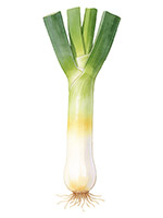 ˮ�ʴ��[�j�،�