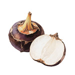 ˮ��ݩ�j�،�