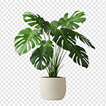 �걳������