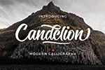 Candelion