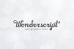 Wonderscript