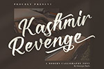 KashmirReveng