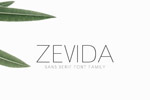 Zevida