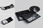 CD������ģ��