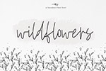 Wildflowers